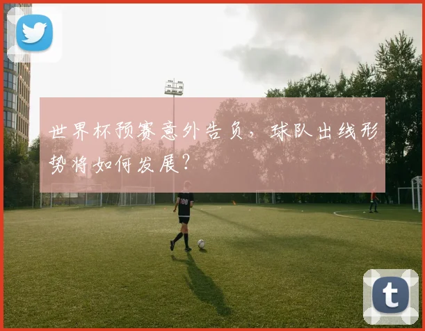 世界杯预赛意外告负,球队出线形势将如何发展?