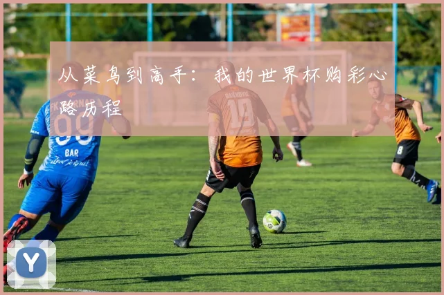 从菜鸟到高手：我的世界杯购彩心路历程