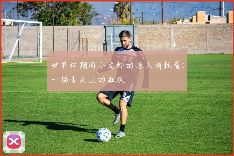 世界杯期间小龙虾的惊人消耗量:一场舌尖上的狂欢