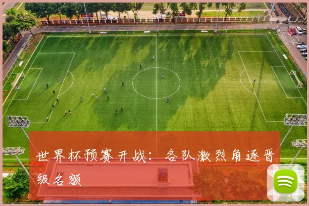 世界杯预赛开战:各队激烈角逐晋级名额