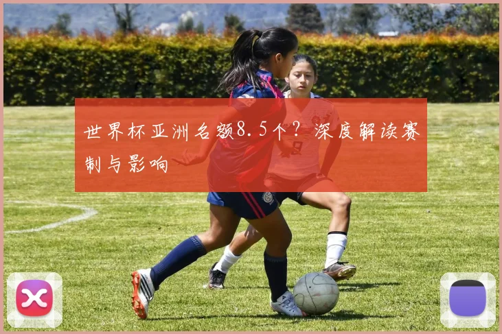 世界杯亚洲名额8.5个?深度解读赛制与影响